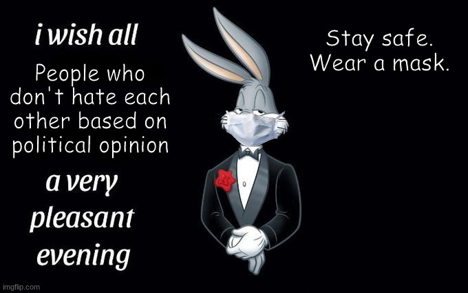 I wish all the X a very pleasant evening | Stay safe. Wear a mask. People who don't hate each other based on political opinion | image tagged in i wish all the x a very pleasant evening | made w/ Imgflip meme maker