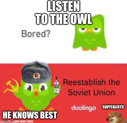 Owl be smort | LISTEN TO THE OWL; *CAPITALISTS*; HE KNOWS BEST | image tagged in russian | made w/ Imgflip meme maker