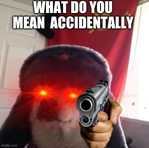 WHAT DO YOU MEAN  ACCIDENTALLY | made w/ Imgflip meme maker