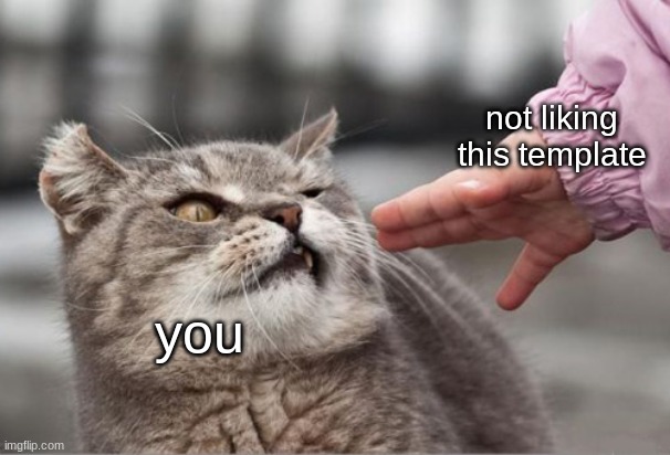 Disturbed cat | you not liking this template | image tagged in disturbed cat | made w/ Imgflip meme maker