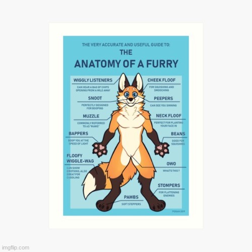 I can't even read this without smiling | image tagged in furry,anatomy | made w/ Imgflip meme maker