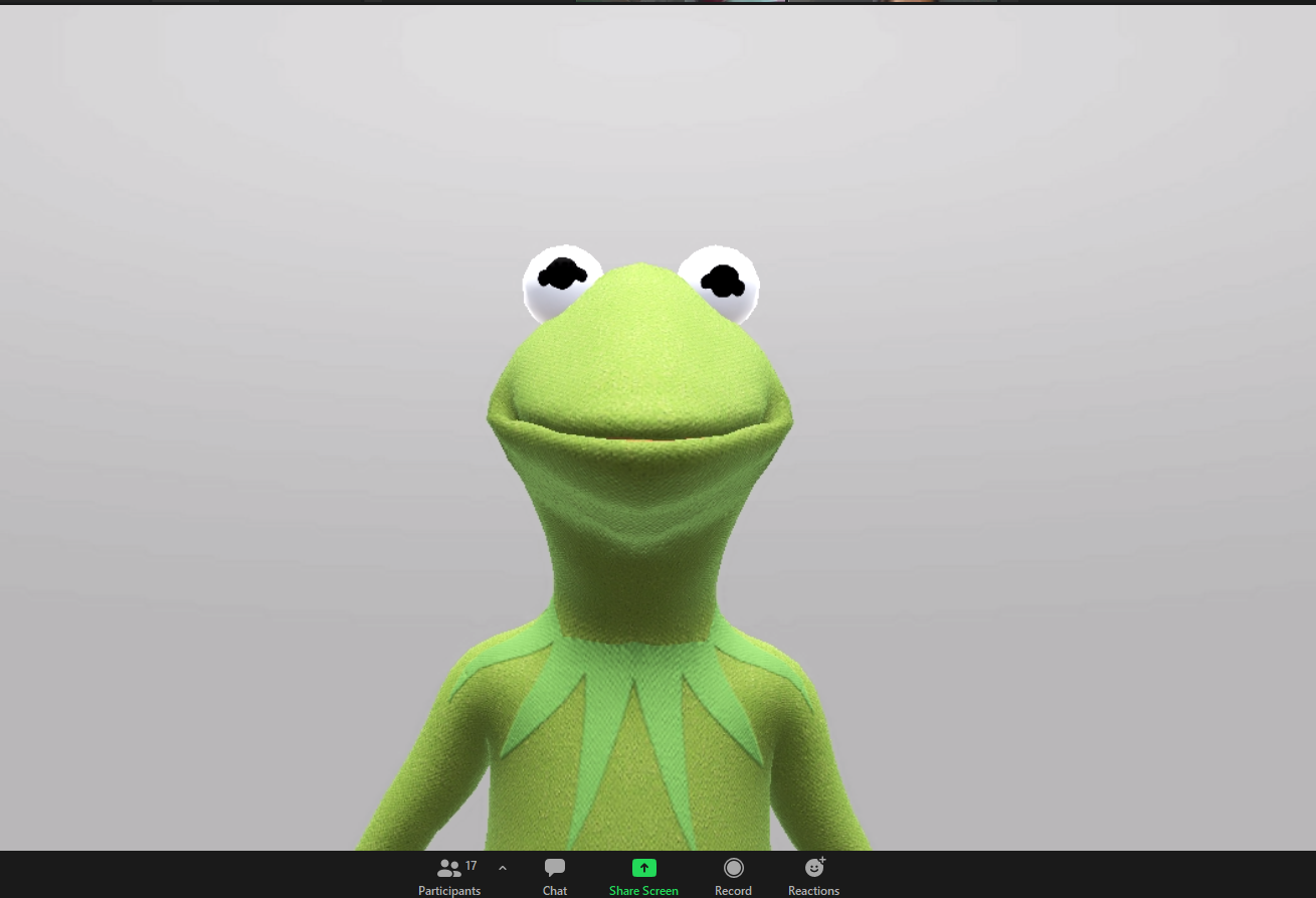 Kermit Zoom Blank Meme Template