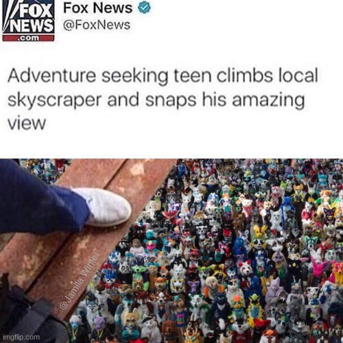 so many furries | image tagged in furry,memes | made w/ Imgflip meme maker