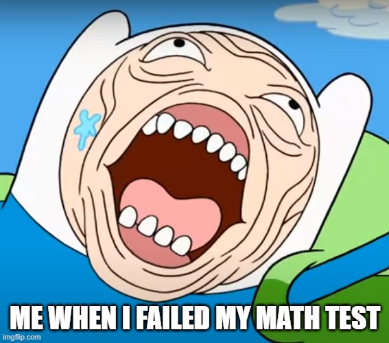 The Second "Finn's Face" meme | ME WHEN I FAILED MY MATH TEST | image tagged in finn's face,lol | made w/ Imgflip meme maker