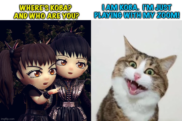 Zoom Cat | I AM KOBA.  I'M JUST PLAYING WITH MY ZOOM! WHERE'S KOBA?  AND WHO ARE YOU? | image tagged in babymetal,kobametal | made w/ Imgflip meme maker