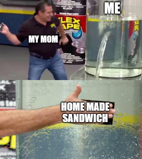 My life in one meme | ME; MY MOM; HOME MADE SANDWICH | image tagged in flex tape | made w/ Imgflip meme maker