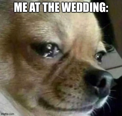 Dog Problems | ME AT THE WEDDING: | image tagged in dog problems | made w/ Imgflip meme maker