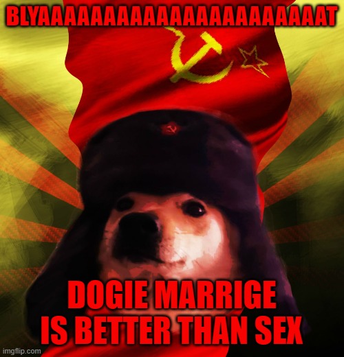 Comrade Doge | BLYAAAAAAAAAAAAAAAAAAAAAAT DOGIE MARRIGE IS BETTER THAN SEX | image tagged in comrade doge | made w/ Imgflip meme maker