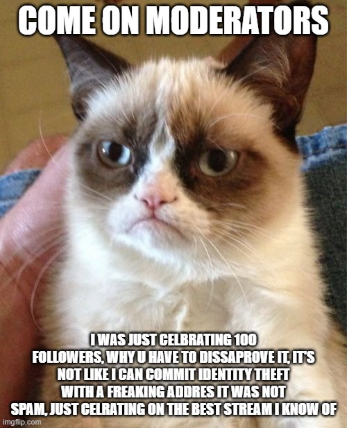 Grumpy Cat | COME ON MODERATORS; I WAS JUST CELBRATING 100 FOLLOWERS, WHY U HAVE TO DISSAPROVE IT, IT'S NOT LIKE I CAN COMMIT IDENTITY THEFT WITH A FREAKING ADDRES IT WAS NOT SPAM, JUST CELRATING ON THE BEST STREAM I KNOW OF | image tagged in memes,grumpy cat | made w/ Imgflip meme maker