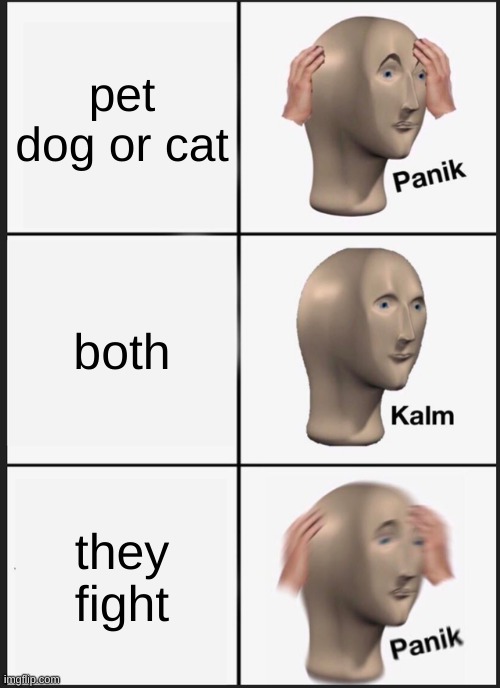 Panik Kalm Panik | pet dog or cat; both; they fight | image tagged in memes,panik kalm panik | made w/ Imgflip meme maker