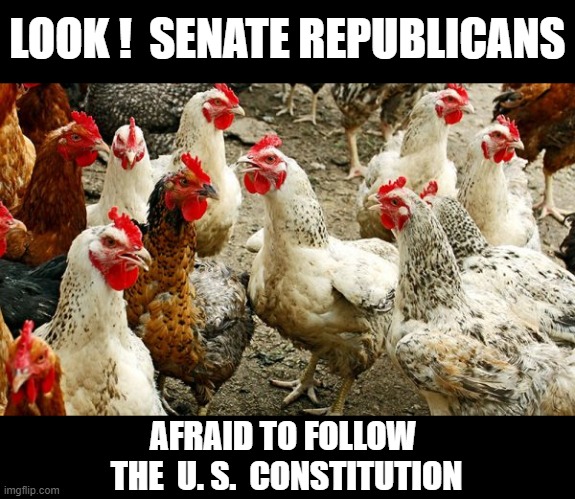 CHICKENSHITS! Defending a LYING PSYCHO TRUMP | LOOK !  SENATE REPUBLICANS; AFRAID TO FOLLOW 
THE  U. S.  CONSTITUTION | image tagged in capitol riot,the big lie,criminal,insurrection,sedition,traitors | made w/ Imgflip meme maker