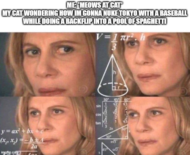 Math lady/Confused lady | ME: *MEOWS AT CAT*
MY CAT WONDERING HOW IM GONNA NUKE TOKYO WITH A BASEBALL WHILE DOING A BACKFLIP INTO A POOL OF SPAGHETTI | image tagged in math lady/confused lady,memes,gifs,pie charts,funny,ha ha tags go brr | made w/ Imgflip meme maker