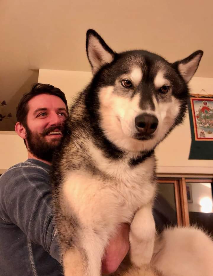 High Quality Man with giant dog Blank Meme Template