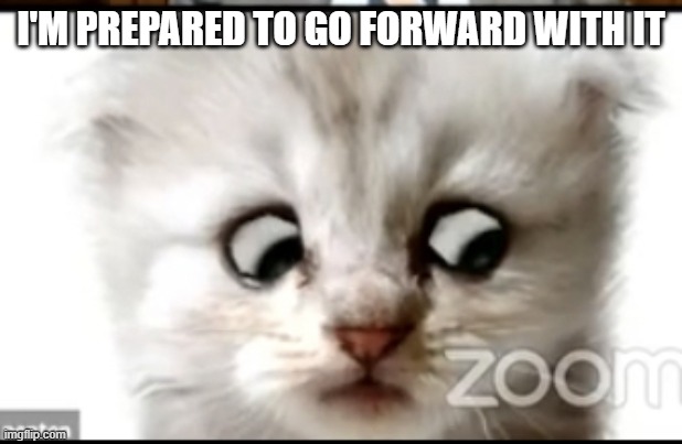 Zoom Cat Prepared to Go Forward | I'M PREPARED TO GO FORWARD WITH IT | image tagged in zoom cat | made w/ Imgflip meme maker