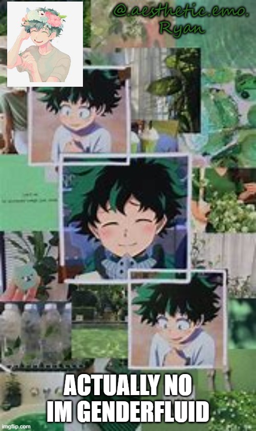 Deku template | ACTUALLY NO IM GENDERFLUID | image tagged in deku template | made w/ Imgflip meme maker