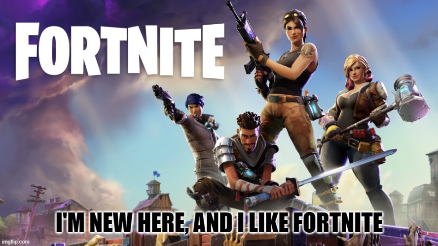 It's cool :D |  I'M NEW HERE, AND I LIKE FORTNITE | image tagged in fortnite | made w/ Imgflip meme maker