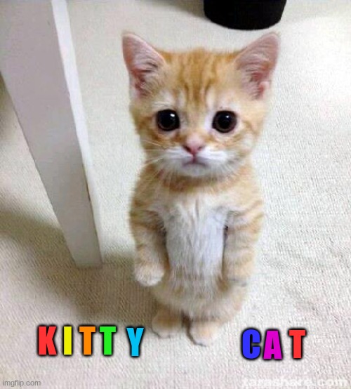 rainbow | K; I; T; T; Y; C; T; A | image tagged in memes,cute cat | made w/ Imgflip meme maker
