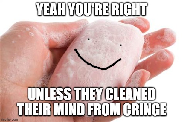Soap | YEAH YOU'RE RIGHT UNLESS THEY CLEANED THEIR MIND FROM CRINGE | image tagged in soap | made w/ Imgflip meme maker