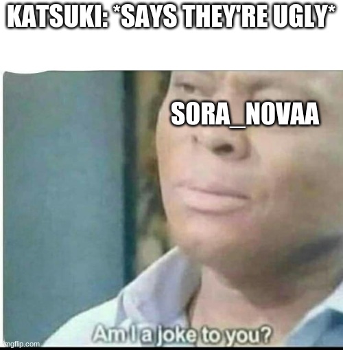 am i joke to you? | KATSUKI: *SAYS THEY'RE UGLY* S0RA_N0VAA | image tagged in am i joke to you | made w/ Imgflip meme maker