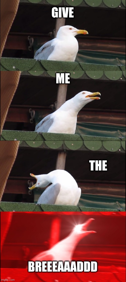 Inhaling Seagull | GIVE; ME; THE; BREEEAAADDD | image tagged in memes,inhaling seagull,bread | made w/ Imgflip meme maker