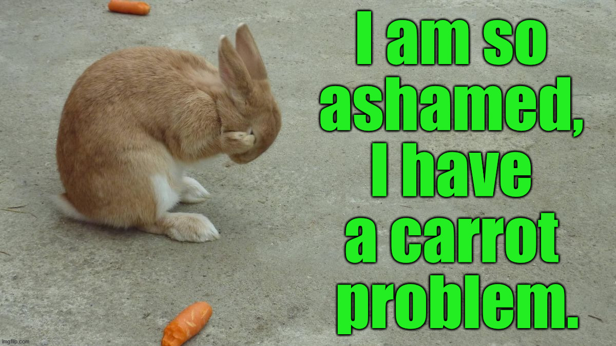 I am so 
ashamed, 
I have 
a carrot 
problem. | image tagged in bunnies | made w/ Imgflip meme maker