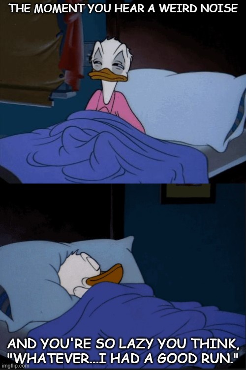 Scary Noises | THE MOMENT YOU HEAR A WEIRD NOISE; AND YOU'RE SO LAZY YOU THINK, "WHATEVER...I HAD A GOOD RUN." | image tagged in donald duck,sleeping,sleep,scared,chillin,relaxing | made w/ Imgflip meme maker