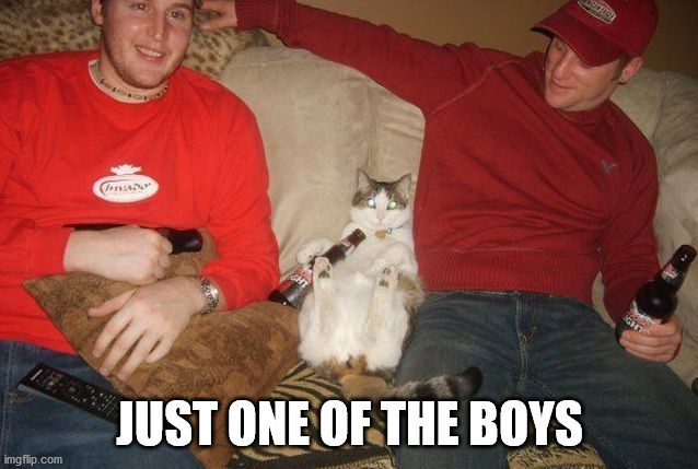 JUST ONE OF THE BOYS | image tagged in cats | made w/ Imgflip meme maker