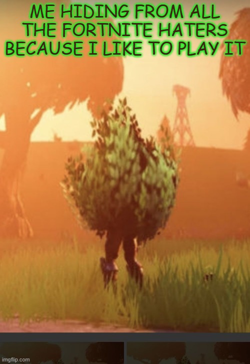 Plz no hate | ME HIDING FROM ALL THE FORTNITE HATERS BECAUSE I LIKE TO PLAY IT | image tagged in fortnite bush | made w/ Imgflip meme maker