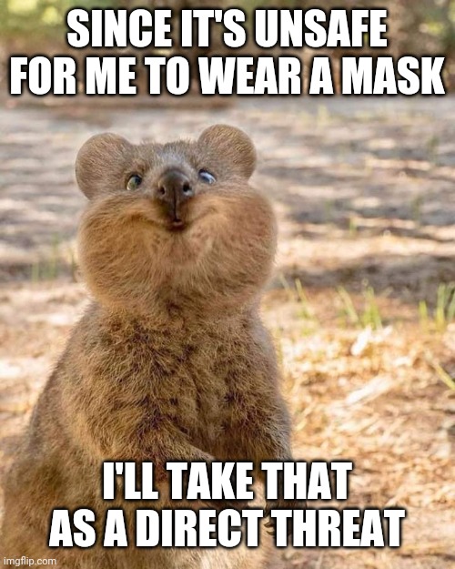 Crazy Wombat | SINCE IT'S UNSAFE FOR ME TO WEAR A MASK I'LL TAKE THAT AS A DIRECT THREAT | image tagged in crazy wombat | made w/ Imgflip meme maker
