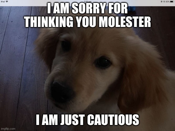 I am really really sorry | I AM SORRY FOR THINKING YOU MOLESTER I AM JUST CAUTIOUS | image tagged in i am really really sorry | made w/ Imgflip meme maker