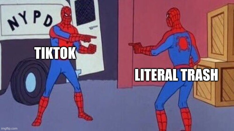 spiderman pointing at spiderman | TIKTOK; LITERAL TRASH | image tagged in spiderman pointing at spiderman | made w/ Imgflip meme maker
