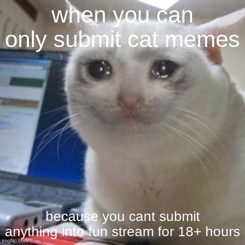 Crying cat | when you can only submit cat memes; because you cant submit anything into fun stream for 18+ hours | image tagged in crying cat,cat,cats,sad cat,depressed cat | made w/ Imgflip meme maker