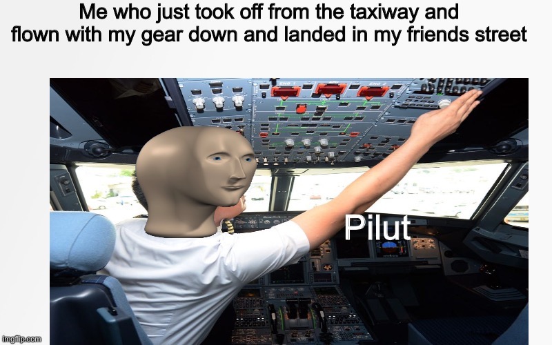 Pro pilot | image tagged in pilot | made w/ Imgflip meme maker