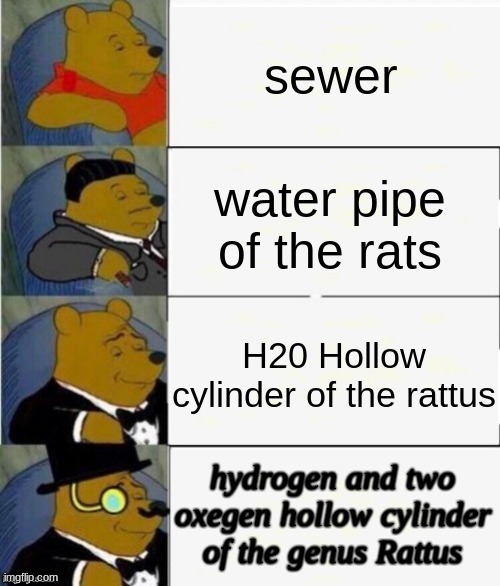 winnie the pooh sewers | sewer; water pipe of the rats; H20 Hollow cylinder of the rattus; hydrogen and two oxegen hollow cylinder of the genus Rattus | image tagged in tuxedo winnie the pooh 4 panel | made w/ Imgflip meme maker