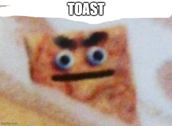 what the cinnamon toast f^%$ is this | TOAST | image tagged in what the cinnamon toast f is this | made w/ Imgflip meme maker