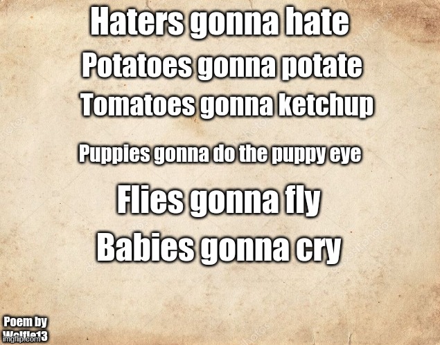 Sorry I did take a few ideas from another meme |  Potatoes gonna potate; Haters gonna hate; Tomatoes gonna ketchup; Puppies gonna do the puppy eye; Flies gonna fly; Babies gonna cry; Poem by Wolfie13 | image tagged in blank parchment paper,poems | made w/ Imgflip meme maker