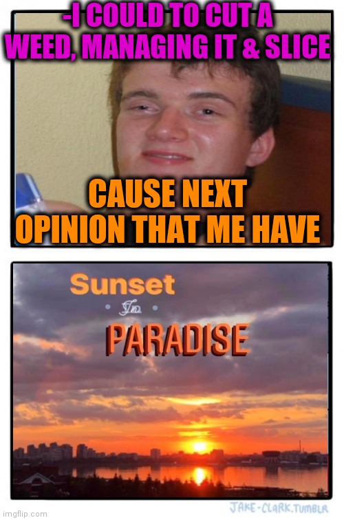 -Stoned. | -I COULD TO CUT A WEED, MANAGING IT & SLICE; CAUSE NEXT OPINION THAT ME HAVE | image tagged in memes,two buttons,10 guy,smoke weed everyday,beautiful sunset,stoned guy | made w/ Imgflip meme maker