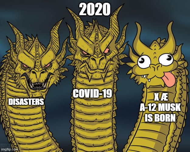 Three-headed Dragon | 2020; COVID-19; X Æ A-12 MUSK IS BORN; DISASTERS | image tagged in three-headed dragon | made w/ Imgflip meme maker