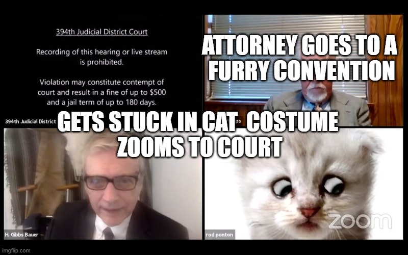 cat zoom | ATTORNEY GOES TO A 
FURRY CONVENTION; GETS STUCK IN CAT  COSTUME 
ZOOMS TO COURT | image tagged in cats,lawyers,funny,furries,fetish | made w/ Imgflip meme maker
