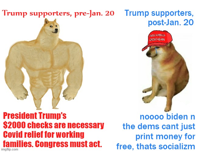 things that make you go hmmm | Trump supporters, pre-Jan. 20; Trump supporters, post-Jan. 20; noooo biden n the dems cant just print money for free, thats socializm; President Trump's $2000 checks are necessary Covid relief for working families. Congress must act. | image tagged in buff doge vs maga cheems,conservative hypocrisy,conservative logic,trump supporters,republicans,hypocrisy | made w/ Imgflip meme maker