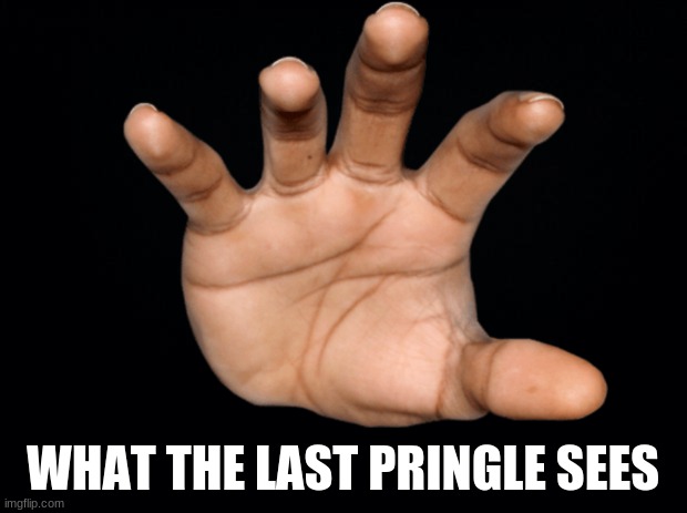 WHAT THE LAST PRINGLE SEES | image tagged in memes | made w/ Imgflip meme maker