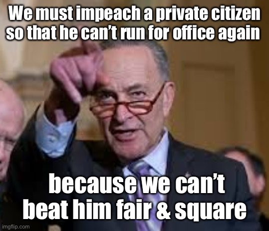 Honesty in the Washington D.C. Senate | We must impeach a private citizen so that he can’t run for office again; because we can’t beat him fair & square | image tagged in schmuck shumer,impeach,trump,election fraud | made w/ Imgflip meme maker