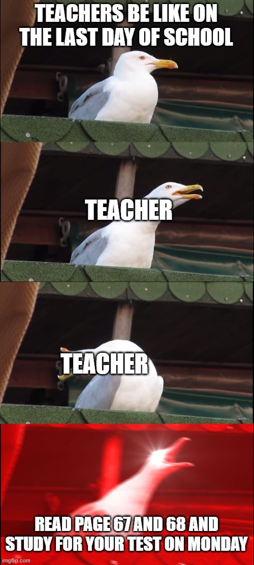 teachers on the last day of school | TEACHERS BE LIKE ON THE LAST DAY OF SCHOOL; TEACHER; TEACHER; READ PAGE 67 AND 68 AND STUDY FOR YOUR TEST ON MONDAY | image tagged in memes,inhaling seagull | made w/ Imgflip meme maker