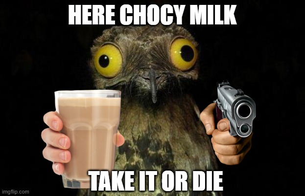Weird Stuff I Do Potoo | HERE CHOCY MILK; TAKE IT OR DIE | image tagged in memes,weird stuff i do potoo | made w/ Imgflip meme maker