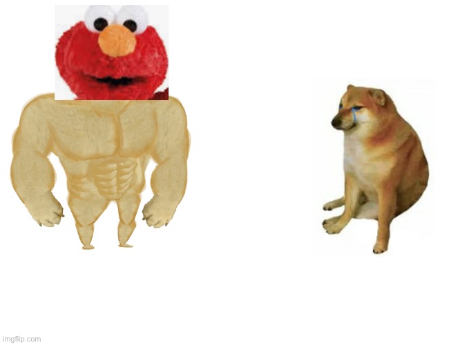 image tagged in memes,buff doge vs cheems | made w/ Imgflip meme maker