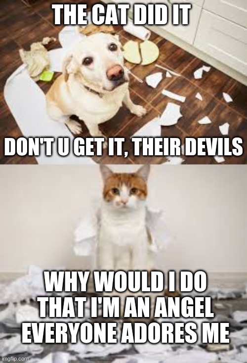 cat did it, dog did it | THE CAT DID IT; DON'T U GET IT, THEIR DEVILS; WHY WOULD I DO THAT I'M AN ANGEL EVERYONE ADORES ME | image tagged in grumpy cat | made w/ Imgflip meme maker