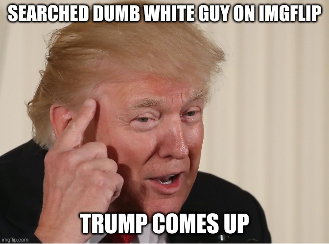 Dumb white guy | SEARCHED DUMB WHITE GUY ON IMGFLIP; TRUMP COMES UP | image tagged in dumb white guy | made w/ Imgflip meme maker