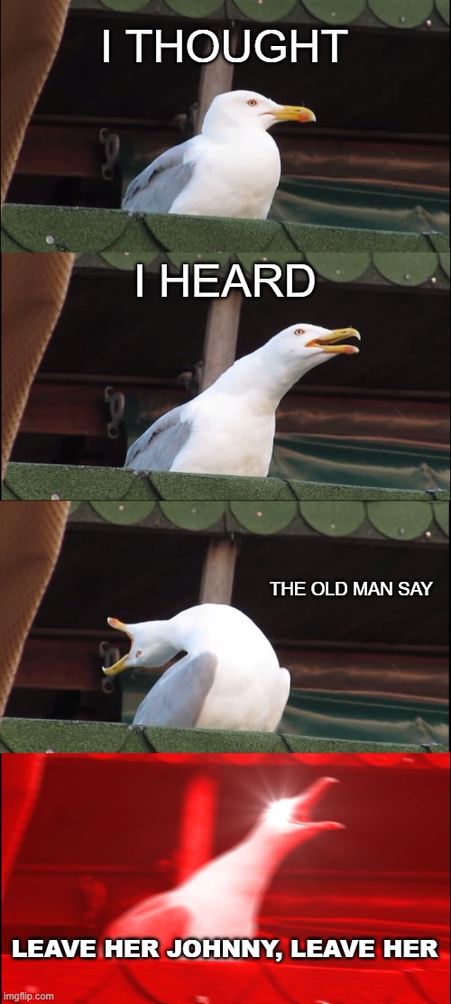 sea shanty | I THOUGHT; I HEARD; THE OLD MAN SAY; LEAVE HER JOHNNY, LEAVE HER | image tagged in memes,inhaling seagull | made w/ Imgflip meme maker