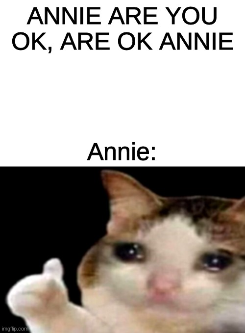 Sad cat thumbs up white spacing | ANNIE ARE YOU OK, ARE OK ANNIE; Annie: | image tagged in sad cat thumbs up white spacing | made w/ Imgflip meme maker