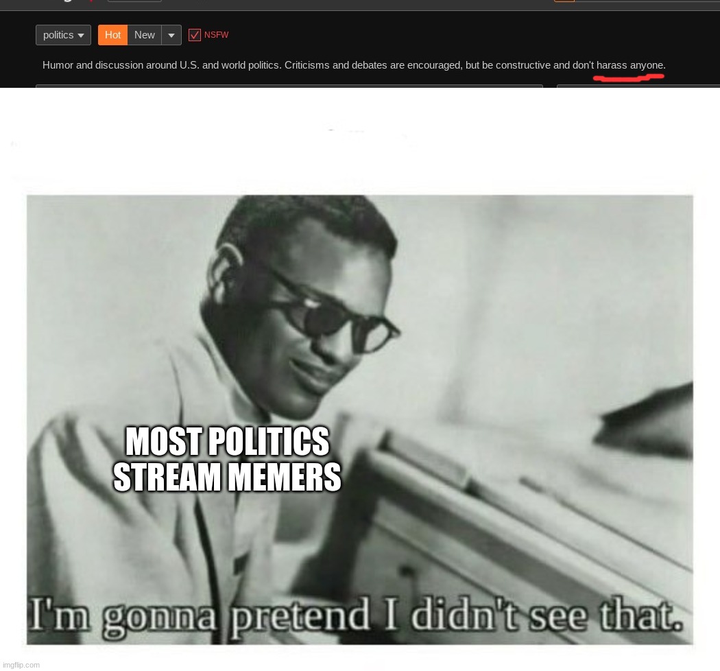 MOST POLITICS STREAM MEMERS | image tagged in i'm gonna pretend i didn't see that | made w/ Imgflip meme maker